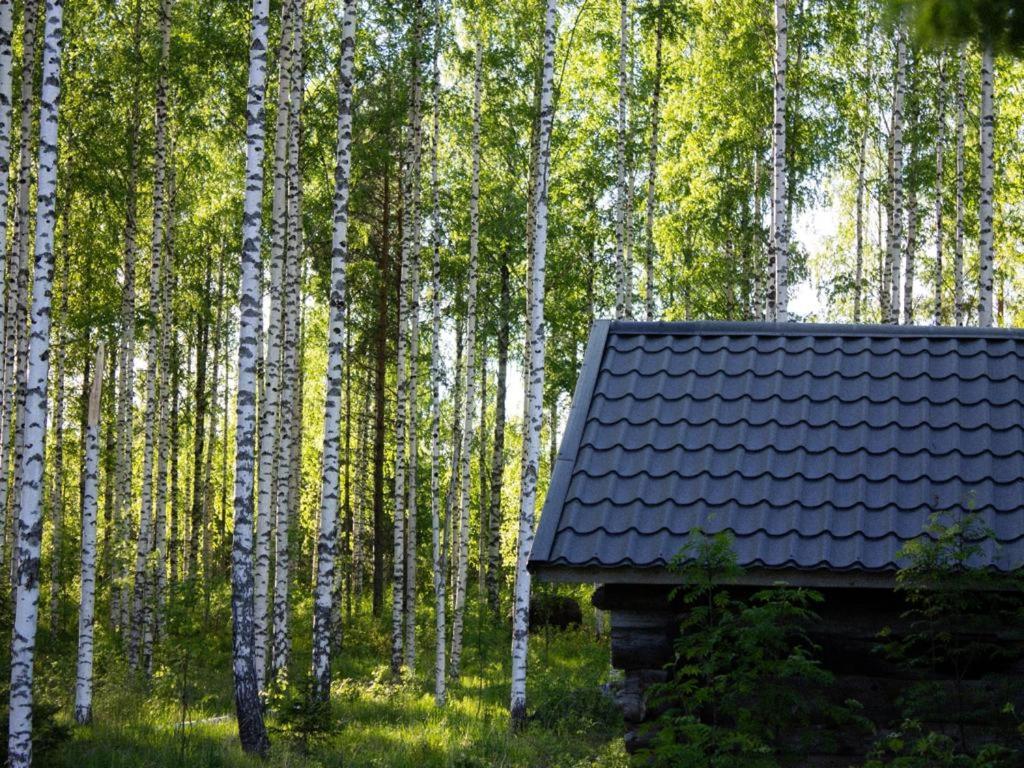 Tarina-Aho Bed & Breakfast Vuonislahti Dış mekan fotoğraf